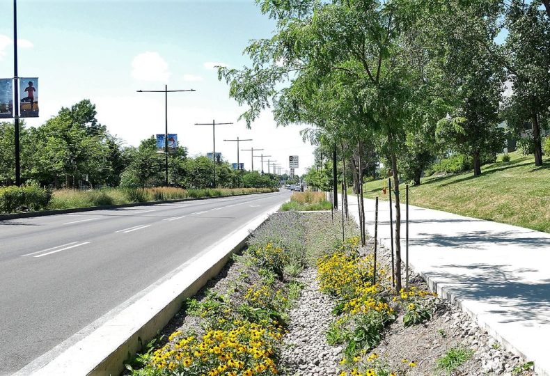Voir le projet Réaménagement durable de l’avenue Papineau