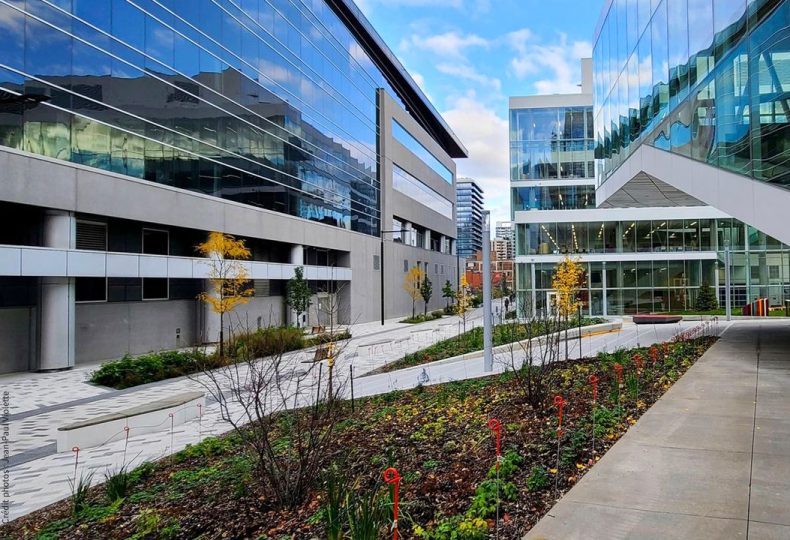 Voir le projet Griffintown 2.0, de la rue à l’espace de vie