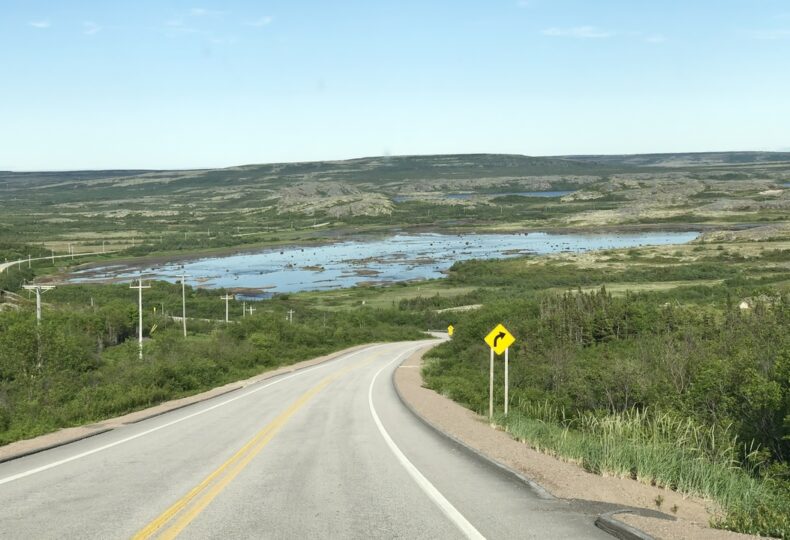 Voir le projet Inspection structurale et retraitement de poteaux de bois