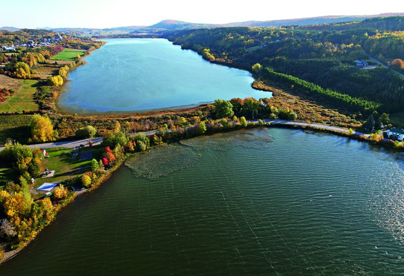 Voir le projet MILQ : diagnostic écologique des lacs par bio-indicateurs