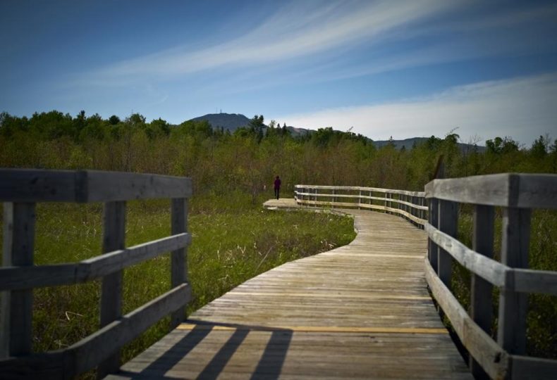Voir le projet Réhabilitation du sentier du Pionnier à Magog   