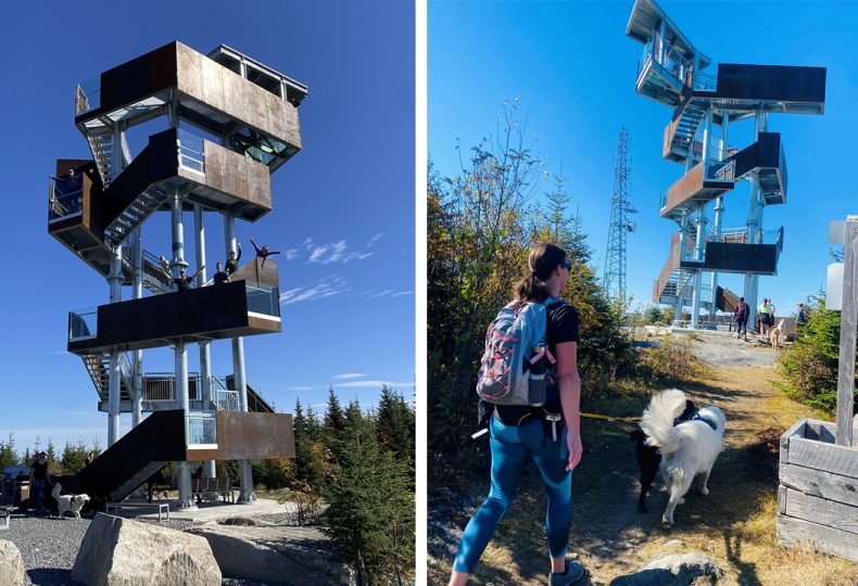Voir le projet Tour d&rsquo;observation du mont Hereford