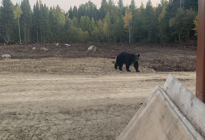 Voir le projet Neskantaga : réhabilitation environnementale et revitalisation communautaire