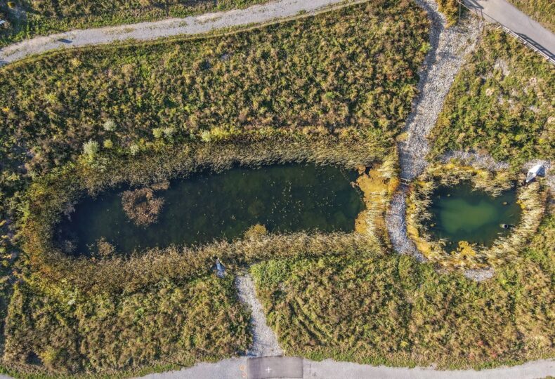 Voir le projet Bassins de rétention naturalisés : création d’un corridor écologique à Gatineau