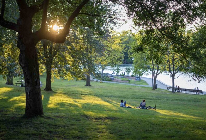 Stantec offrira des services en biologie pour le réseau des grands parcs à Montréal