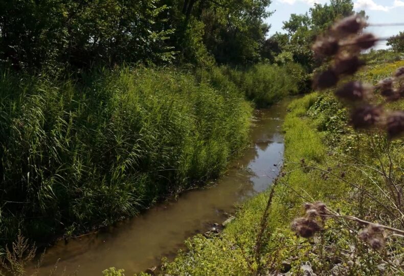 Protection et réhabilitation des terrains contaminés: transformation numérique