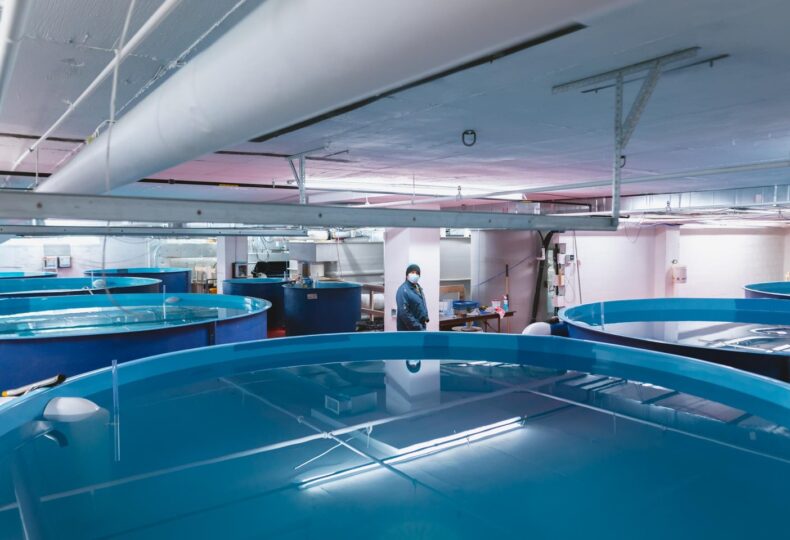 Voir le projet Ferme piscicole Opercule à Montréal