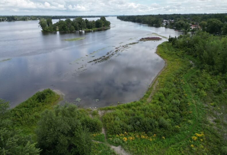 Voir le projet Suivi environnemental des mesures de compensation