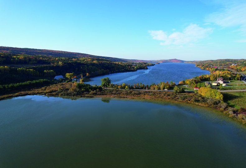 CIMA+ a réalisé le projet MILQ : diagnostic écologique des lacs par bio-indicateurs pour l'Organisme des bassins versants du Nord-Est du Bas-Saint-Laurent.